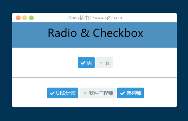 radio & checkbox