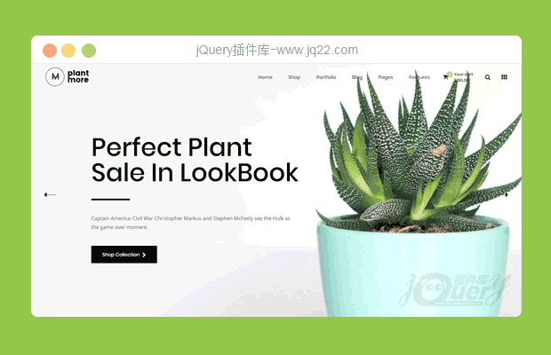 基于Bootstrap绿植盆景商城模板