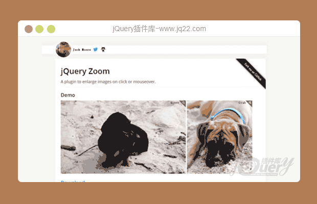 鼠标图片放大插件-JQUERY ZOOM